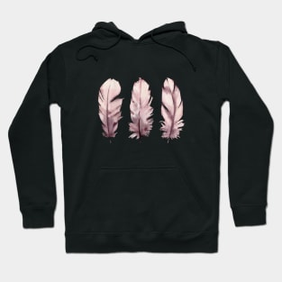 Blush pink feathers illustration Hoodie